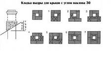 Выдра